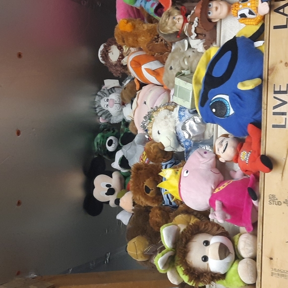 pet choir Other - Meet our Pet Choir waiting to be adopted